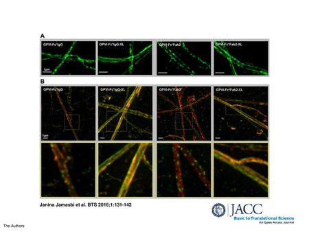 Janina Jamasbi et al. BTS 2016;1: