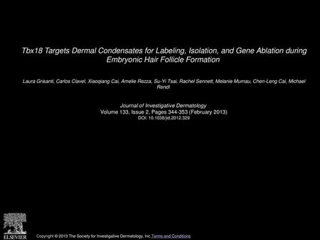 Tbx18 Targets Dermal Condensates for Labeling, Isolation, and Gene Ablation during Embryonic Hair Follicle Formation  Laura Grisanti, Carlos Clavel, Xiaoqiang.