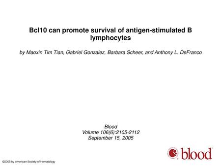 Bcl10 can promote survival of antigen-stimulated B lymphocytes