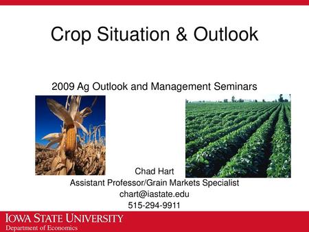 Crop Situation & Outlook