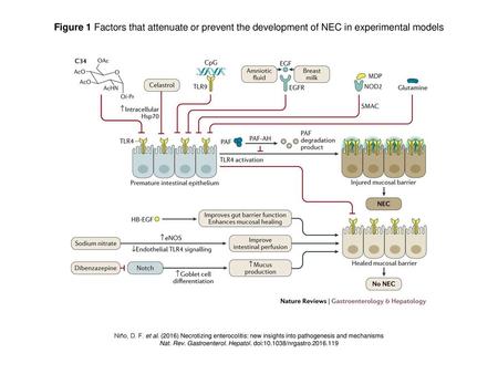 Nat. Rev. Gastroenterol. Hepatol. doi: /nrgastro