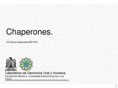 Chaperones. CA García Sepúlveda MD PhD