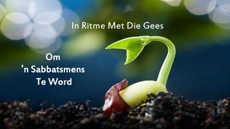 In Ritme Met Die Gees Om ’n Sabbatsmens Te Word.