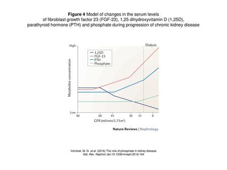 Figure 4 Model of changes in the serum levels