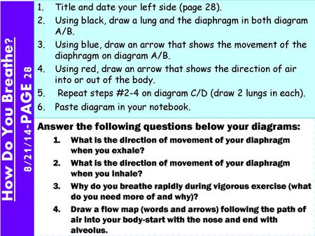 How Do You Breathe? 8/21/14-PAGE 28