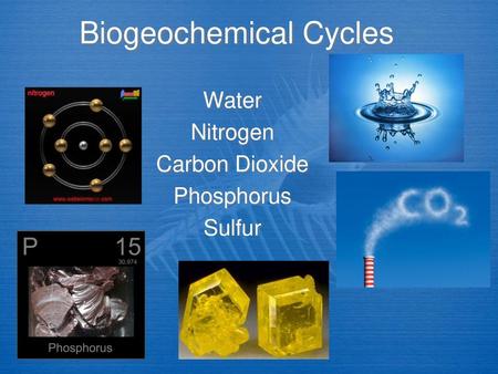 Biogeochemical Cycles