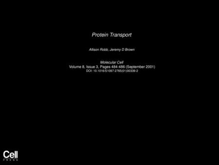 Protein Transport Molecular Cell