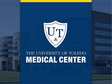 The University of Toledo // 2