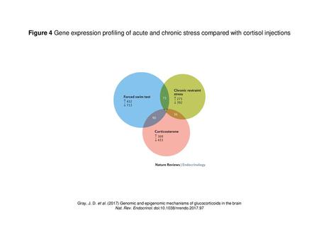 Nat. Rev. Endocrinol. doi: /nrendo