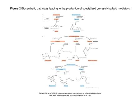 Nat. Rev. Rheumatol. doi: /nrrheum