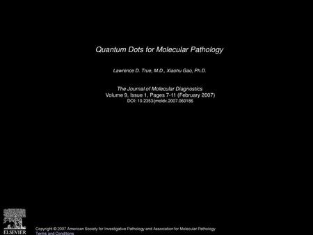 Quantum Dots for Molecular Pathology