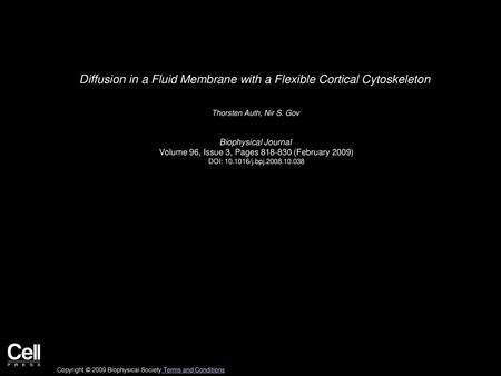 Diffusion in a Fluid Membrane with a Flexible Cortical Cytoskeleton