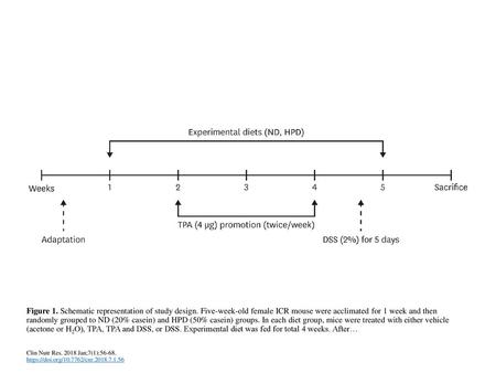 Figure 1. Schematic representation of study design