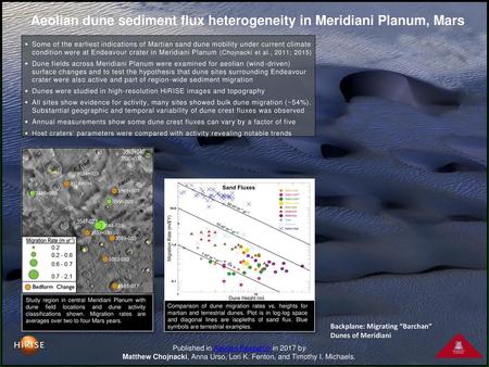 Aeolian dune sediment flux heterogeneity in Meridiani Planum, Mars