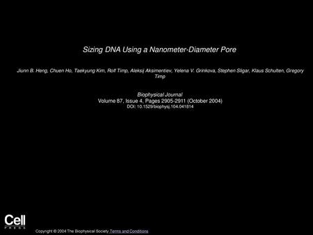 Sizing DNA Using a Nanometer-Diameter Pore