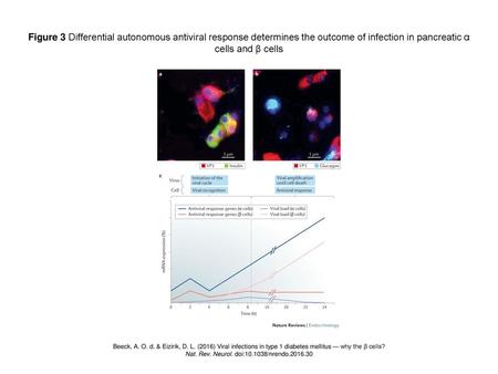 Nat. Rev. Neurol. doi: /nrendo