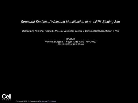 Structural Studies of Wnts and Identification of an LRP6 Binding Site