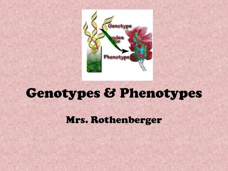 Genotypes & Phenotypes