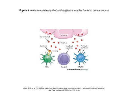 Nat. Rev. Urol. doi: /nrurol