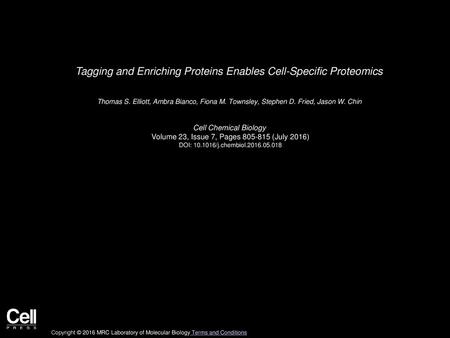 Tagging and Enriching Proteins Enables Cell-Specific Proteomics