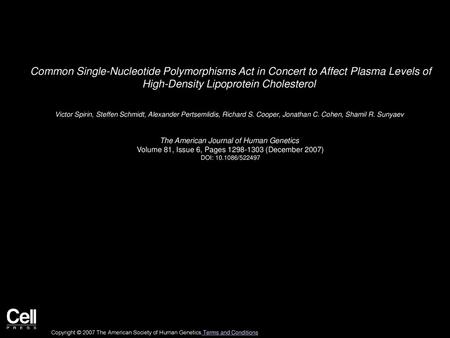 Common Single-Nucleotide Polymorphisms Act in Concert to Affect Plasma Levels of High-Density Lipoprotein Cholesterol  Victor Spirin, Steffen Schmidt,