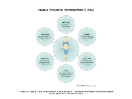 Figure 3 Translational research projects in LGMD