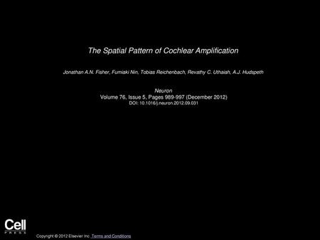 The Spatial Pattern of Cochlear Amplification