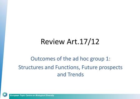 Review Art.17/12 Outcomes of the ad hoc group 1: