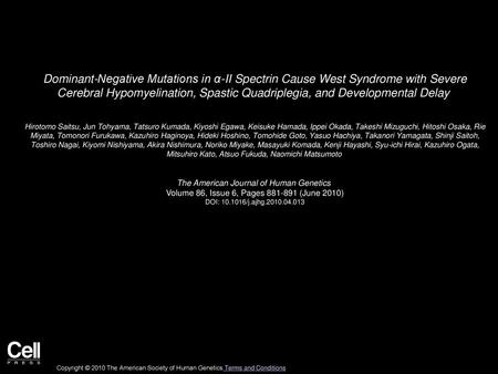 Dominant-Negative Mutations in α-II Spectrin Cause West Syndrome with Severe Cerebral Hypomyelination, Spastic Quadriplegia, and Developmental Delay 