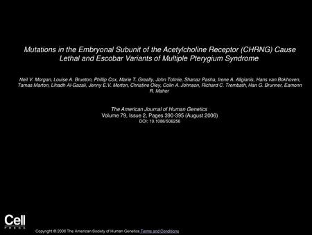 Mutations in the Embryonal Subunit of the Acetylcholine Receptor (CHRNG) Cause Lethal and Escobar Variants of Multiple Pterygium Syndrome  Neil V. Morgan,