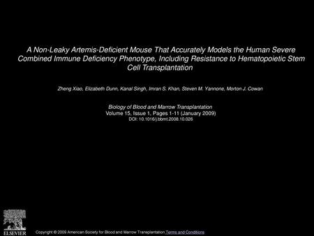 A Non-Leaky Artemis-Deficient Mouse That Accurately Models the Human Severe Combined Immune Deficiency Phenotype, Including Resistance to Hematopoietic.