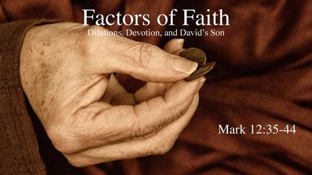 Dilutions, Devotion, and David’s Son