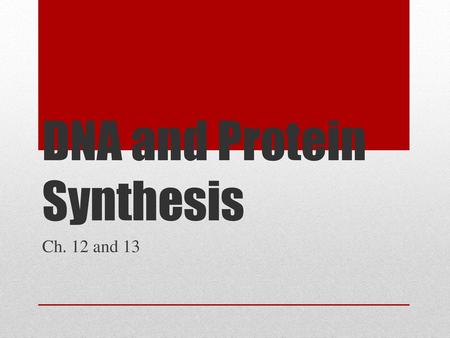 DNA and Protein Synthesis