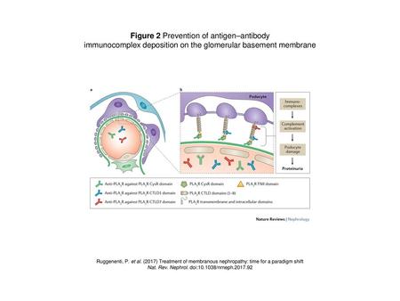 Figure 2 Prevention of antigen–antibody