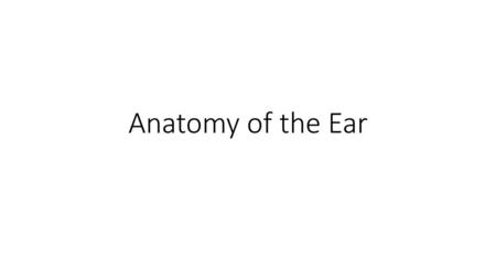 Anatomy of the Ear.