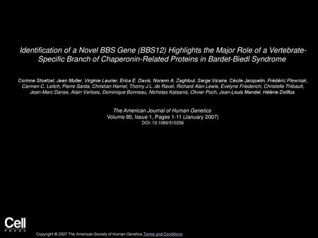 Identification of a Novel BBS Gene (BBS12) Highlights the Major Role of a Vertebrate- Specific Branch of Chaperonin-Related Proteins in Bardet-Biedl Syndrome 