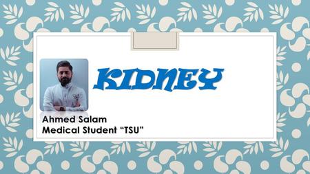 Ahmed Salam Medical Student “TSU”