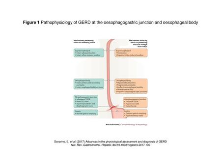 Nat. Rev. Gastroenterol. Hepatol. doi: /nrgastro