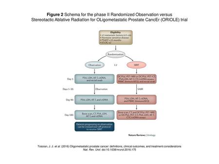 Figure 2 Schema for the phase II Randomized Observation versus