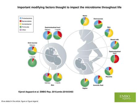 Important modifying factors thought to impact the microbiome throughout life Important modifying factors thought to impact the microbiome throughout life.