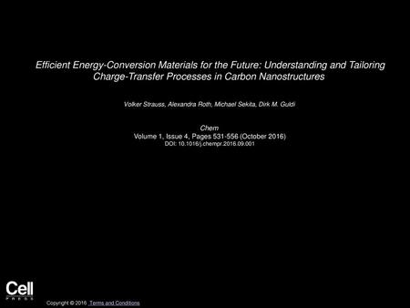 Efficient Energy-Conversion Materials for the Future: Understanding and Tailoring Charge-Transfer Processes in Carbon Nanostructures  Volker Strauss,