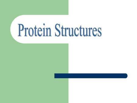 Protein Structures.