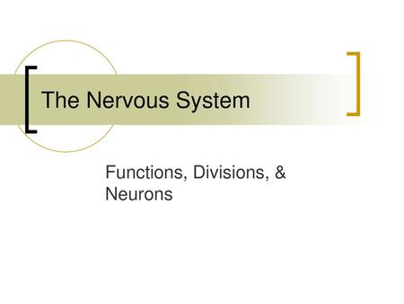 Functions, Divisions, & Neurons