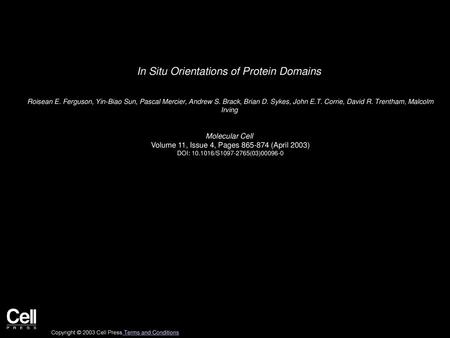 In Situ Orientations of Protein Domains