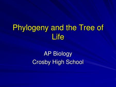 Phylogeny and the Tree of Life