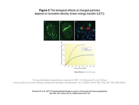 Figure 5 The biological effects of charged particles