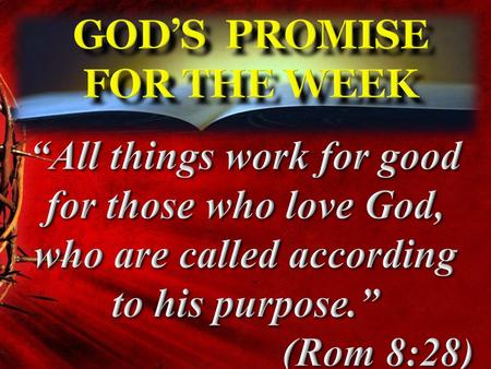 God’s Promise for the week