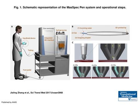 Fig. 1. Schematic representation of the MasSpec Pen system and operational steps. Schematic representation of the MasSpec Pen system and operational steps.