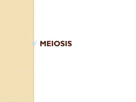 Meiosis.