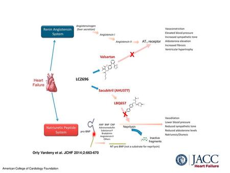 Orly Vardeny et al. JCHF 2014;2: